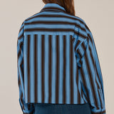 Erin Crop Shirt