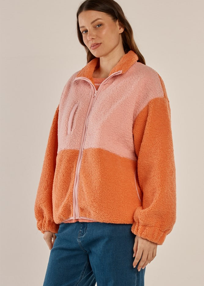 Slide image