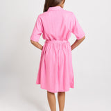 Palm Shirt Dress - Pink/Teal Stripe