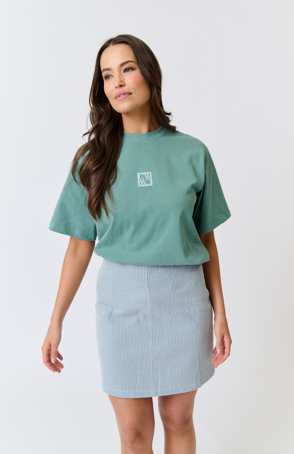 ZYLA MINI SKIRT - Stripe Denim